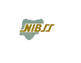 NIBSS